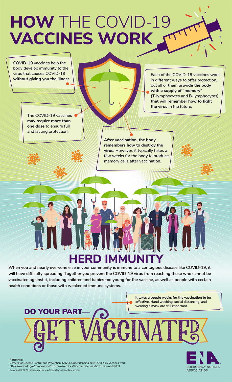 How the COVID-19 Vaccine Works